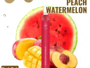 Elfbar - T600 - Einweg E-Zigarette - MANGO PEACH WATERMELON - 20mg - CP