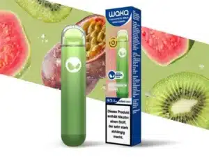 Waka soReal – Mango Melon Aloe – Einweg Vape