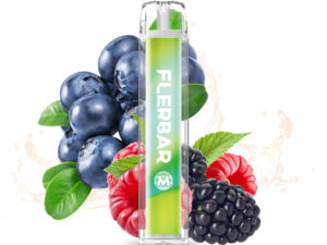 SKE Crystal Bar 600 – Black Currant Mango – Disposable Vape